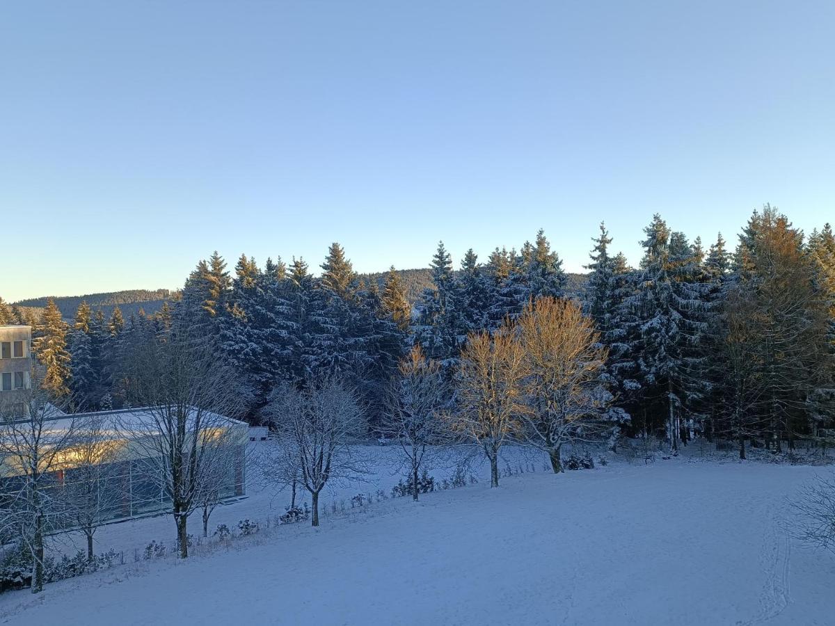 Ferienwohnung Isabell Goslar Esterno foto